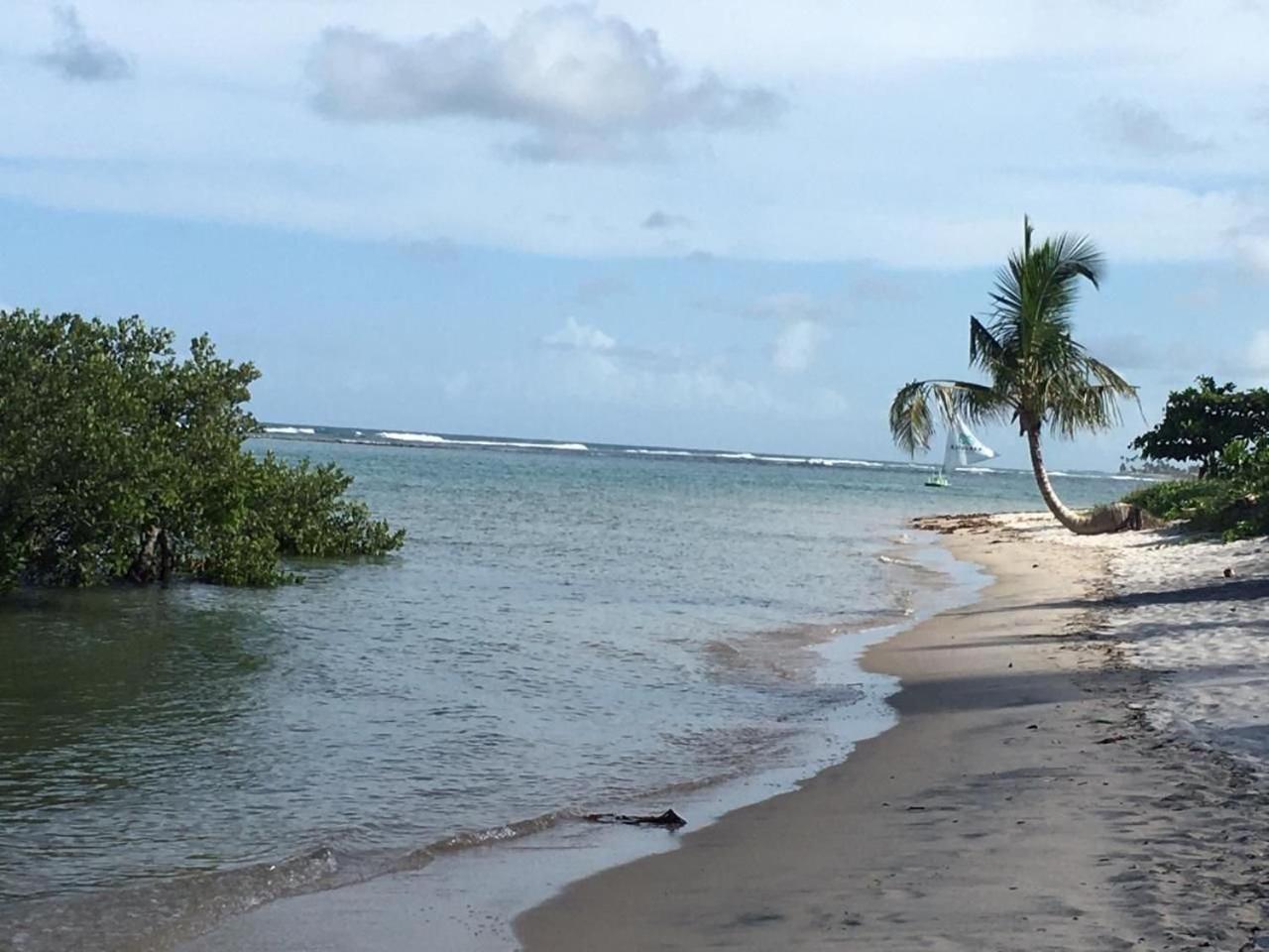 Polinesia Resort - Porto De Galinhas - Apartamentos Com Somente 1 Opcao De Terreo Com Piscina Privativa - Acesso Ao Hotel Samoa Buitenkant foto